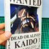 Kaido - Wanted 3D Papercraft Template (PDF Download)
